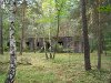Przystosowanie obiektów powojskowych do ochrony nietoperzy
