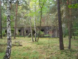 Przystosowanie obiektów powojskowych do ochrony nietoperzy Przystosowanie obiektów powojskowych do ochrony nietoperzy