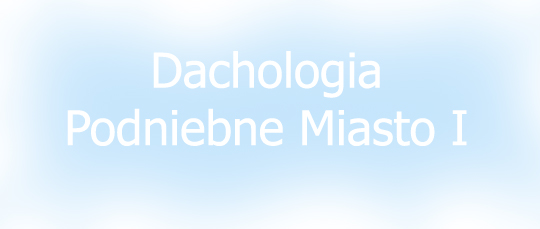 Dachologia. Podniebne Miasto I - Synchronizacja 2016 Dachologia. Podniebne Miasto I - Synchronizacja 2016