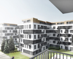Rzemieślnicza i Szafrana - wyniki Rzemieślnicza i Szafrana - wyniki