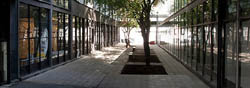 THE PROMISED CITY THE PROMISED CITY