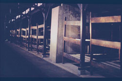 Auschwitz - co ja tu robię? Auschwitz - co ja tu robię?