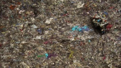 Jackson Pollock's House Jackson Pollock's House