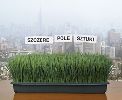 0.33 m2 Szczerego Pola Sztuki 0.33 m2 Szczerego Pola Sztuki