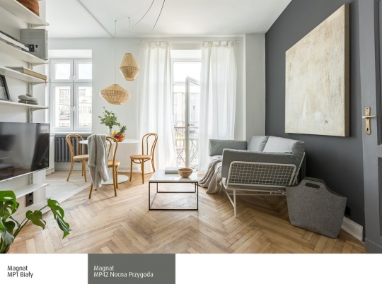 4 pomysły na kolorystyczne aranżacje salonu / zdjęcie nr: 2 4 pomysły na kolorystyczne aranżacje salonu / zdjęcie nr: 2