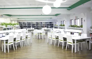 Klasyczna forma eleganckie krzesło do domu i nie tylko Class Papatya