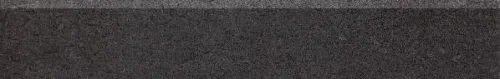 598x95_DSAS4613