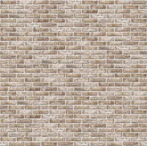 Cegła Anicius | Cegły i płytki ręcznie formowane Vandersanden | pliki cad, tekstury