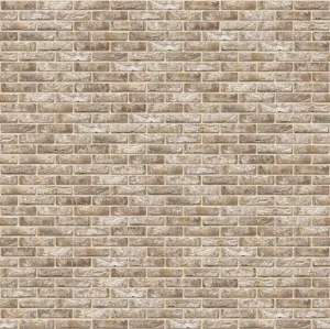 Cegła Anicius | Cegły i płytki ręcznie formowane Vandersanden | pliki cad, tekstury