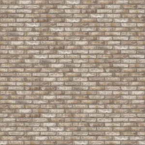 Cegła Anicius | Cegły i płytki ręcznie formowane Vandersanden | pliki cad, tekstury