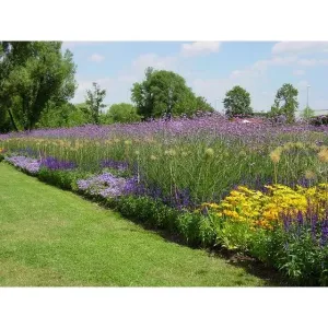 TrimBord100 obrzeże trawnikowe