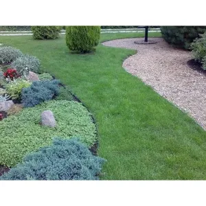 TrimBord100 obrzeże trawnikowe