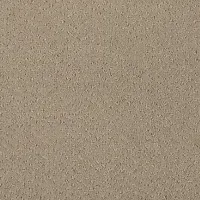 Kolekcja AMBER - wykładziny dywanowe | AMPEL GROUP