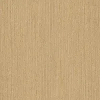 BIBLIOTEKI EQUITONE TEKSTURY - TECTIVA