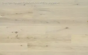 Dąb bielony 35 Farina