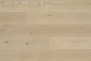 Dąb bielony 14 Farina