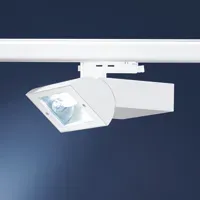 CAM 6