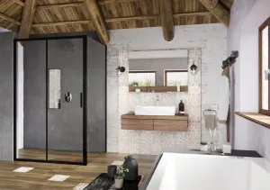 Kabina prysznicowa Blix Slim BLSDP2 + BLSPS pliki dwg, 3ds, dxf, max, aco | Ravak | Nowość