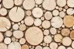 Wood Collection - Panele ścienne PURE  / tekstury, pliki cad